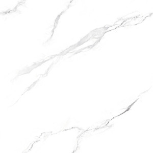 WA088PAP1018 대표이미지