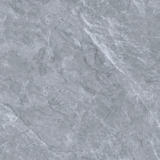 WS612SAP1311
