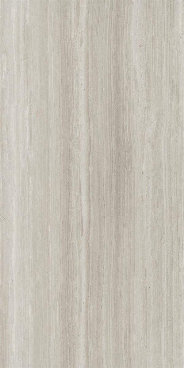 WS612SAP1213