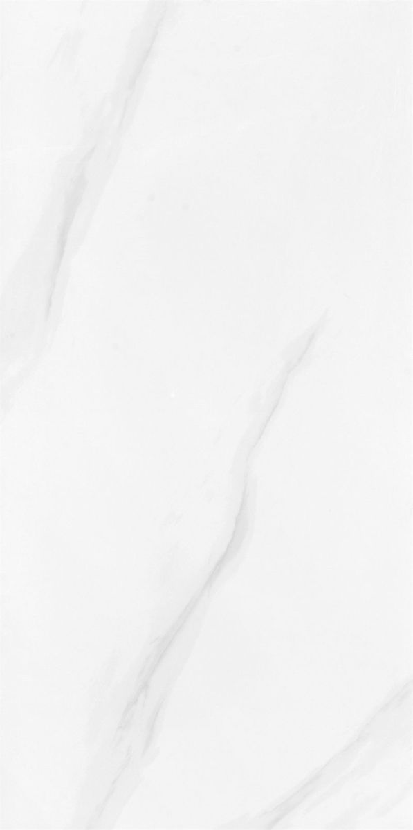 WA048PAP1002