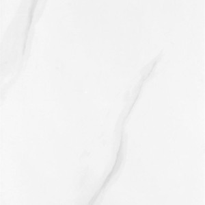 WA048PAP1002 대표이미지