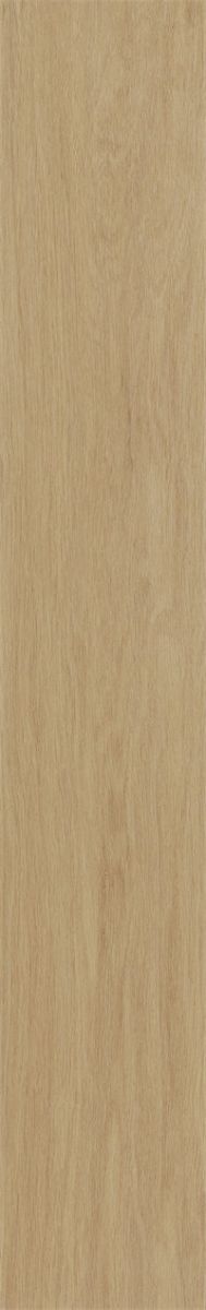 WC212FBP1102
